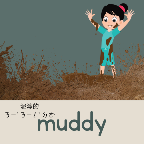<p>muddy</p>