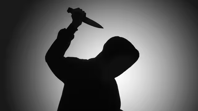 <p>Murderer</p>