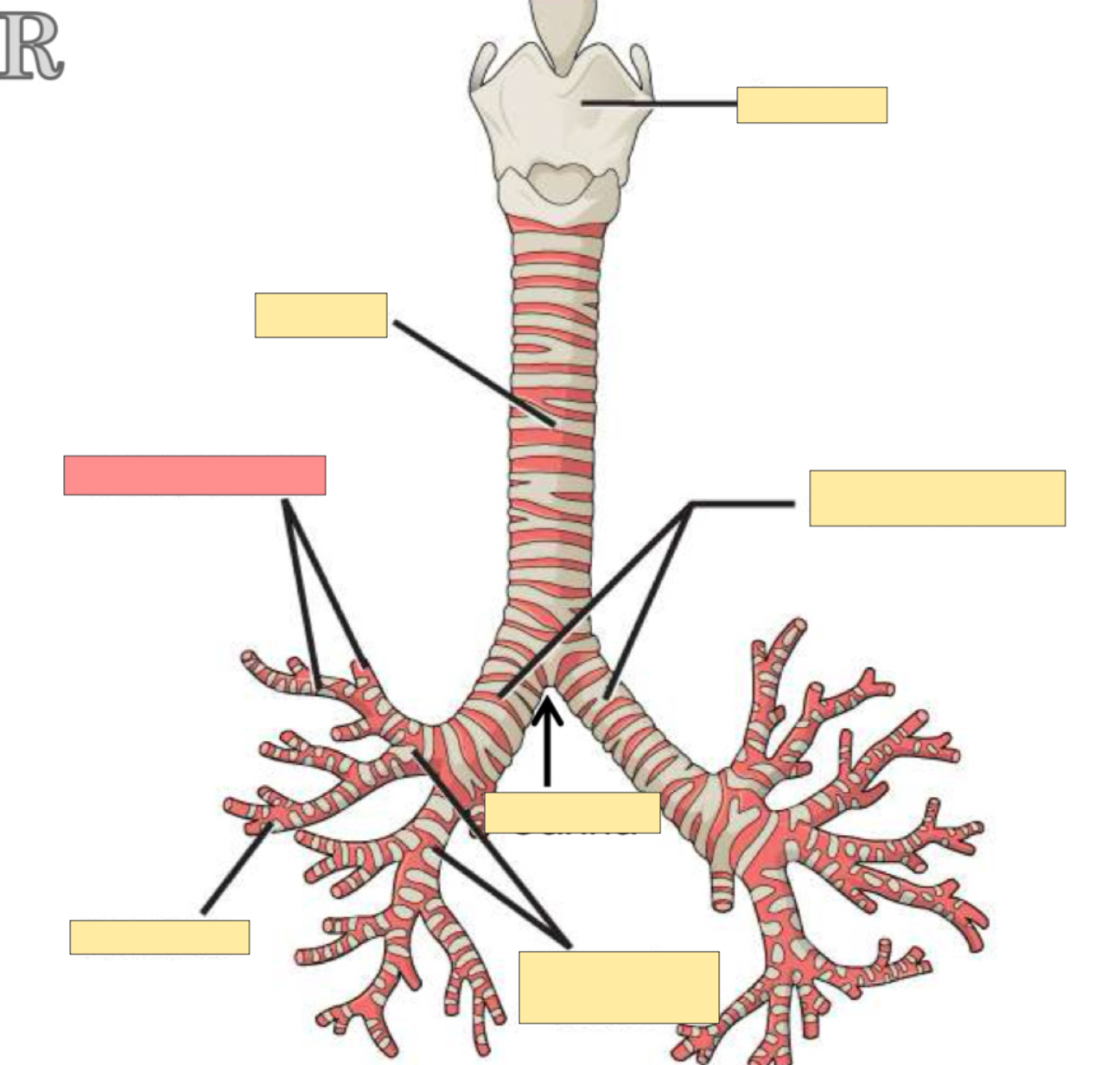 <p>What part is this? </p>