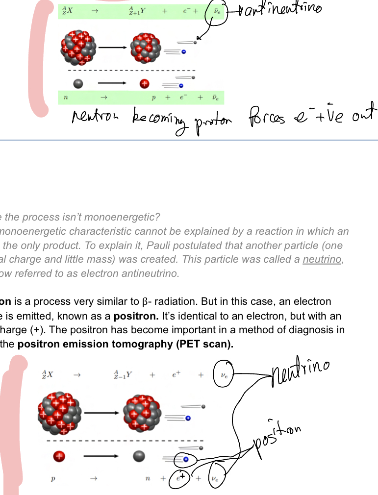 <p>Beta (-) radiation (known as usual beta radiation) Disintegration of a neutron into a proton, which releases an electron and an antineutrino)</p><p>Beta (+) radiationproton turning into a neutron, and so a positron (positive charge) and a neutrino are ejected — used for PET scanes (positron emission tomography)</p>