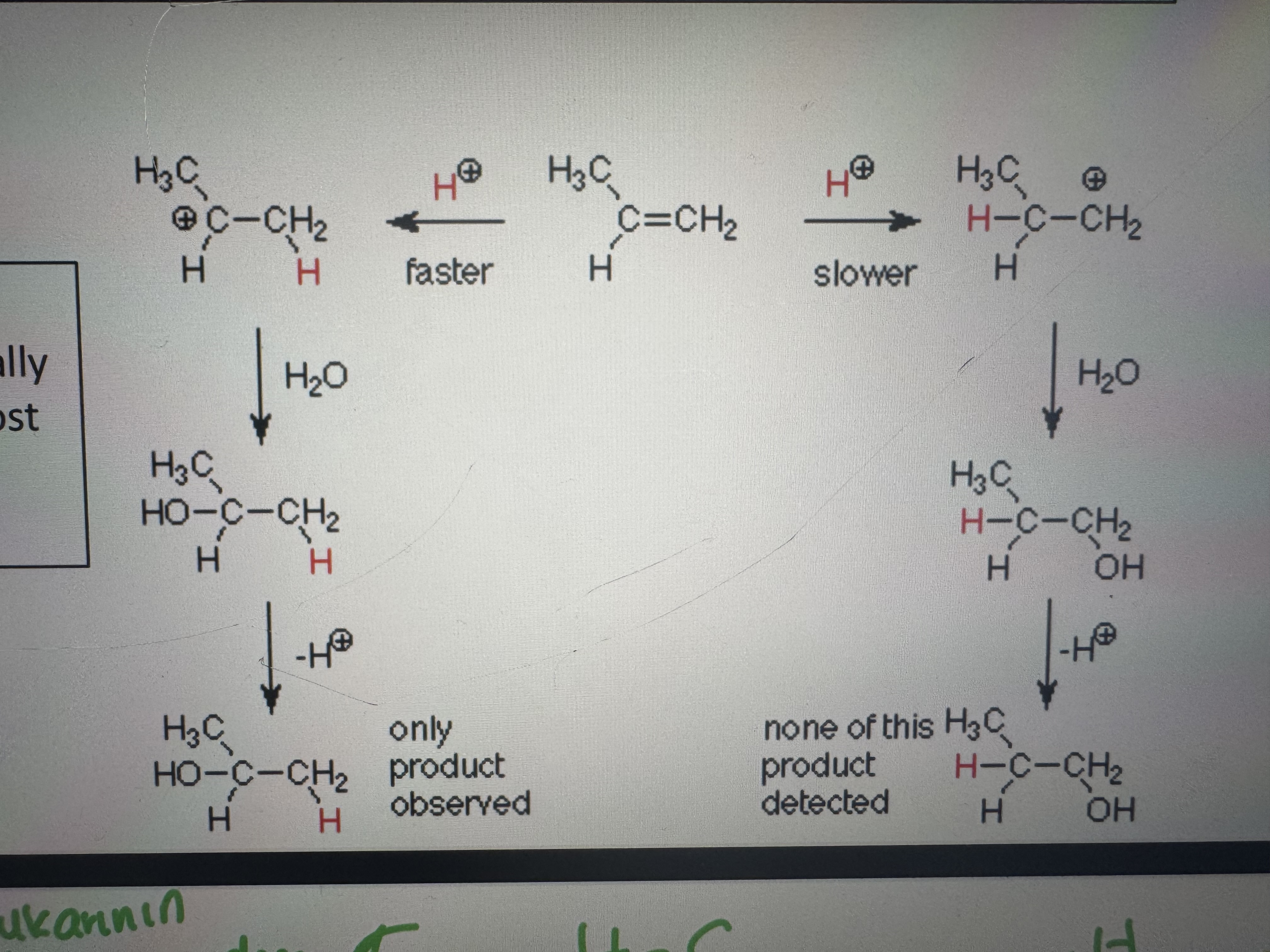 <p>the less substituted one to yield the most stable carbocation (tertiary>secondary>primary) (less c atom attached more chance of the electrophile attacking to c)</p>