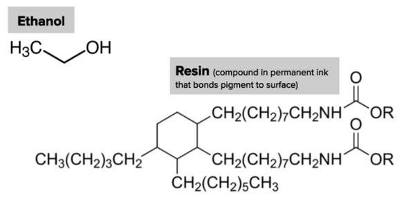 <p>Which statement best describes why ethanol was better than water at removing the ink?</p><ul><li><p><span>a. Ethanol has a charged region, making it a better solvent for the resin molecules than water.</span></p><p></p></li><li><p><span>b. Ethanol has a polar region, making it a better solvent for the resin molecules than water.</span></p><p></p></li><li><p><span>c. Ethanol has a nonpolar region, making it a better solvent for the resin molecules than water.</span></p></li></ul><p></p>