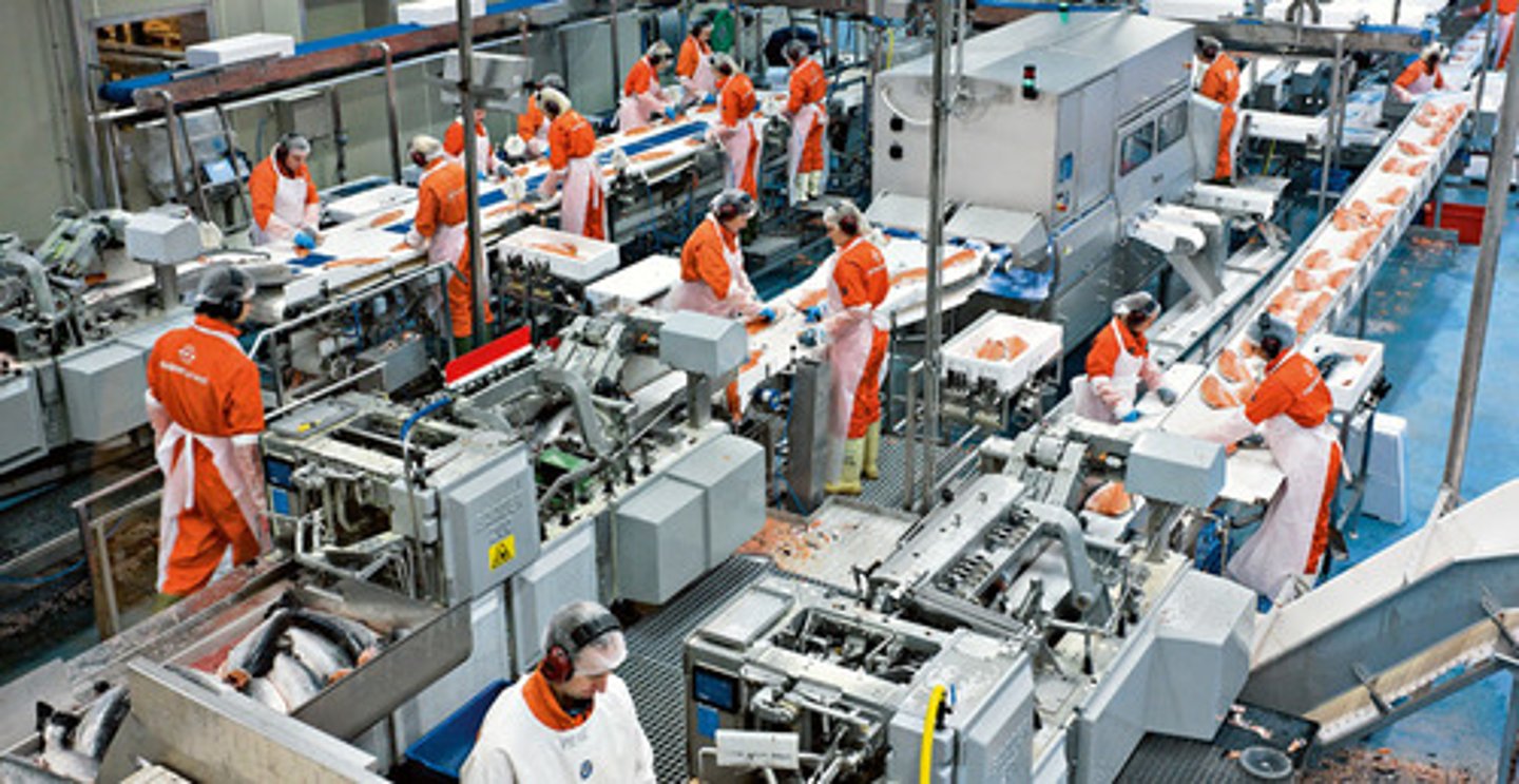 <p>Proteins produced by cultured cells in fermenters are used in:</p><p>-foods</p><p>-pharmaceuticals</p><p>-other products (enzymes in cleaning agents etc.)</p>