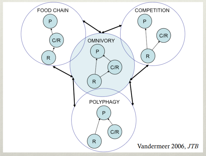 <p>Explain what this shows </p>