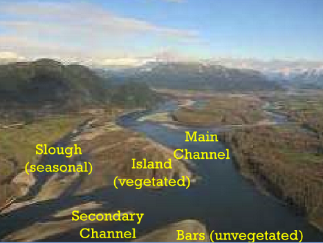 <p>Wandering River</p>