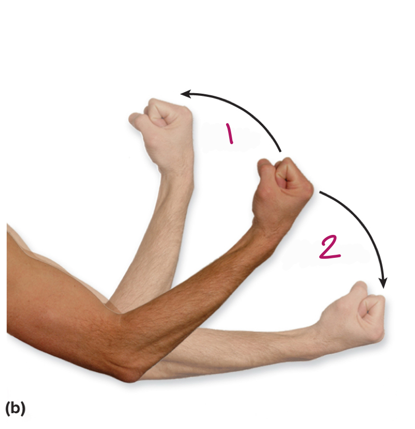 <p>Label figure 2.</p>