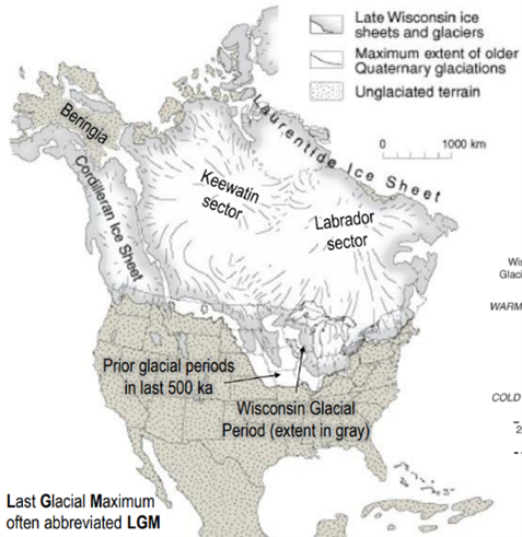 North America had the largest glacial extent besides Antarctica
Much of Asia, including Siberia to Yukon, was free of ice (presumably too dry) – an area called Beringia
Some parts of Beringia have been ice-free for 1 Ma
Last Glacial Maximum – In white
Most recent Wisconsin Ice Sheet (grey edges slightly less south)
-Cordilleran Ice Sheet (Mountains)
-Laurentide Ice Sheet (Keewatin and Labrador sectors)