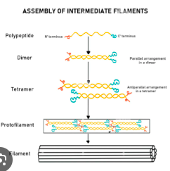 <p>Mechanical strength and resistance to stress. Like support beams.</p>
