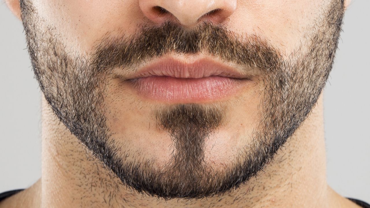 <p><span>stubble beard</span></p>