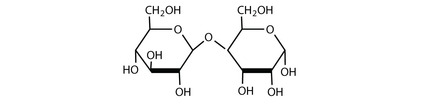 <p>two monosaccharides joined together</p><p>examples: maltose, lactose, and sucrose</p>