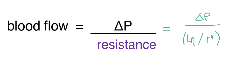 <ul><li><p>the rate of blood is inversely proportional to the frictional resistance to blood flow within the vessels: blood flow= (pressure difference/resistance); higher/greater the RESISTANCE, the LOWER the blood flow and the higher/greater the PRESSURE, the GREATER the flow</p></li><li><p>resistance = (length of vessel x viscosity)/radius of the blood vessel ^4; larger radius will decrease resistance and increase flow</p></li><li><p>double the radius: resistance is 1/16R and blood flow is 16F</p></li><li><p>half the radius: resistance is 16R and blood flow is 1/16 F</p></li></ul>