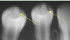 <p>what is shown here? </p>