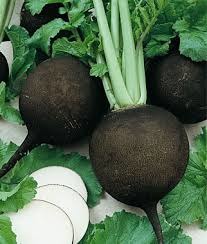black on the outside with a long, narrow point and narrow, light green stems with small green leaves. They are white on the inside and are recognizable from their black - deep black color. They are small and round.