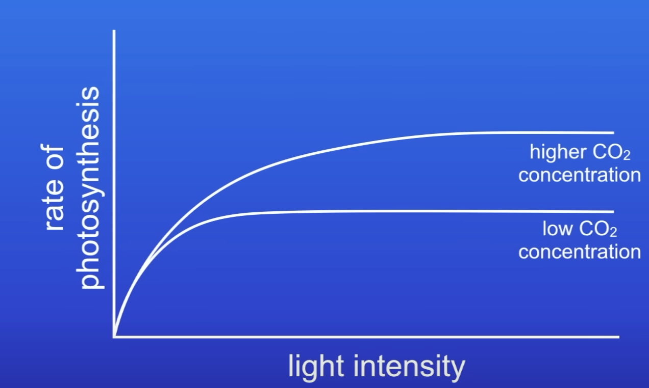 <p>What does this graph show?</p>