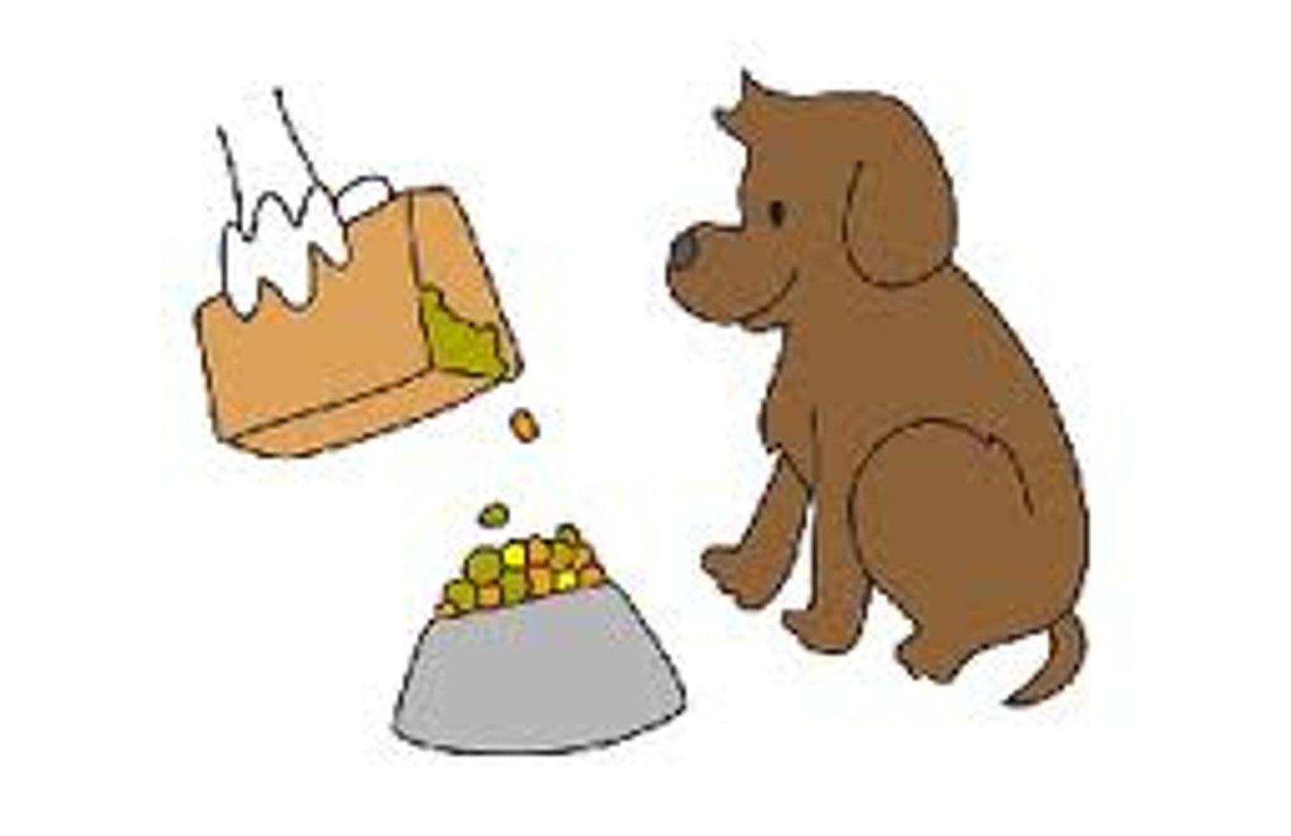 <p>to feed the dog</p>