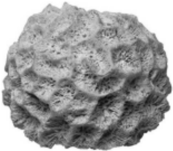 <ul><li><p>A lot of CO<sub>2</sub> has been absorbed into the ocean</p></li><li><p>pH dropped from <strong><span style="color: yellow">8.25 → 8.14</span></strong></p><ul><li><p>This seemingly small change represents a <strong><span style="color: purple">30% acidification</span></strong></p></li></ul></li><li><p>ocean acidification <strong>=</strong> CO<sub>2</sub> concentration</p></li><li><p>corals need carbonate ions (<strong><span style="color: red">CO<sub>3</sub></span></strong>) for calcium carbonate (<strong><span style="color: blue">CaCO₃</span></strong>) for their skeletons</p><ul><li><p>dissolved CO<sub>2</sub> in water→ carbonic acid </p></li><li><p>removes H+ and turns <strong><span style="color: red">CO<sub>3</sub></span></strong> → H<sub>2</sub>CO<sub>3</sub></p></li><li><p>low <strong><span style="color: red">CO<sub>3</sub></span></strong> = low <strong><span style="color: blue">CaCO<sub>3</sub></span></strong></p></li></ul></li></ul>