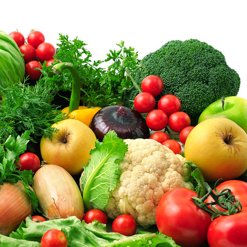 a chemical or food that provides what is needed for plants or animals to live and grow