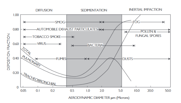 <ul><li><p>you can look at the chart and see with each deposition mechanism, how diameter effects the deposition fraction or rate</p></li><li><p>with diffusion: small diameter= more deposition</p></li><li><p>with sedimentation and inertial impaction: large diameter= more deposition</p></li></ul>