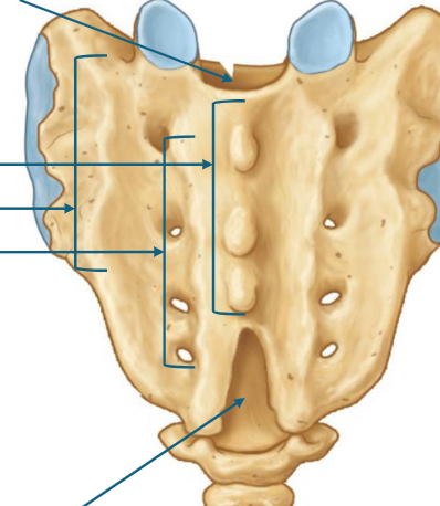 <p>TOP AND BOTTOM ARROW</p>