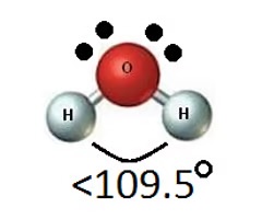 <ul><li><p>Electron Pair Geoemtry: Tetrahedral (4 electron regions)</p></li><li><p># Electron Bonding Regions: 2</p></li><li><p># Lone Pairs: 2</p></li><li><p>Bond Angle: &lt;109.5 OR 104.5 (it has 2 lone pairs, so it pushes the atoms even closer together than trigonal planar)</p></li></ul><p></p>