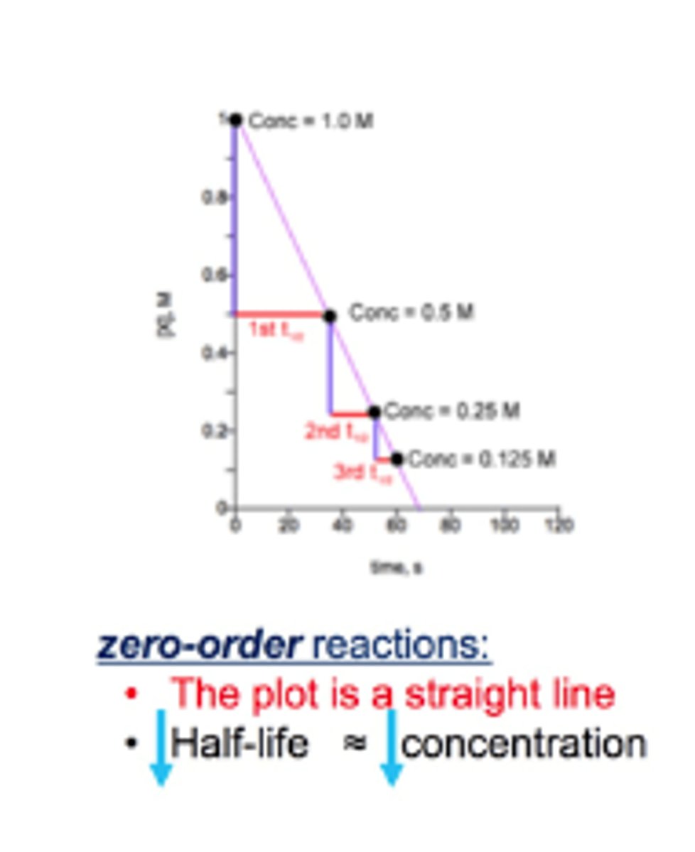 <p>- straight line</p><p>- half life decreases while concentration decreases</p>