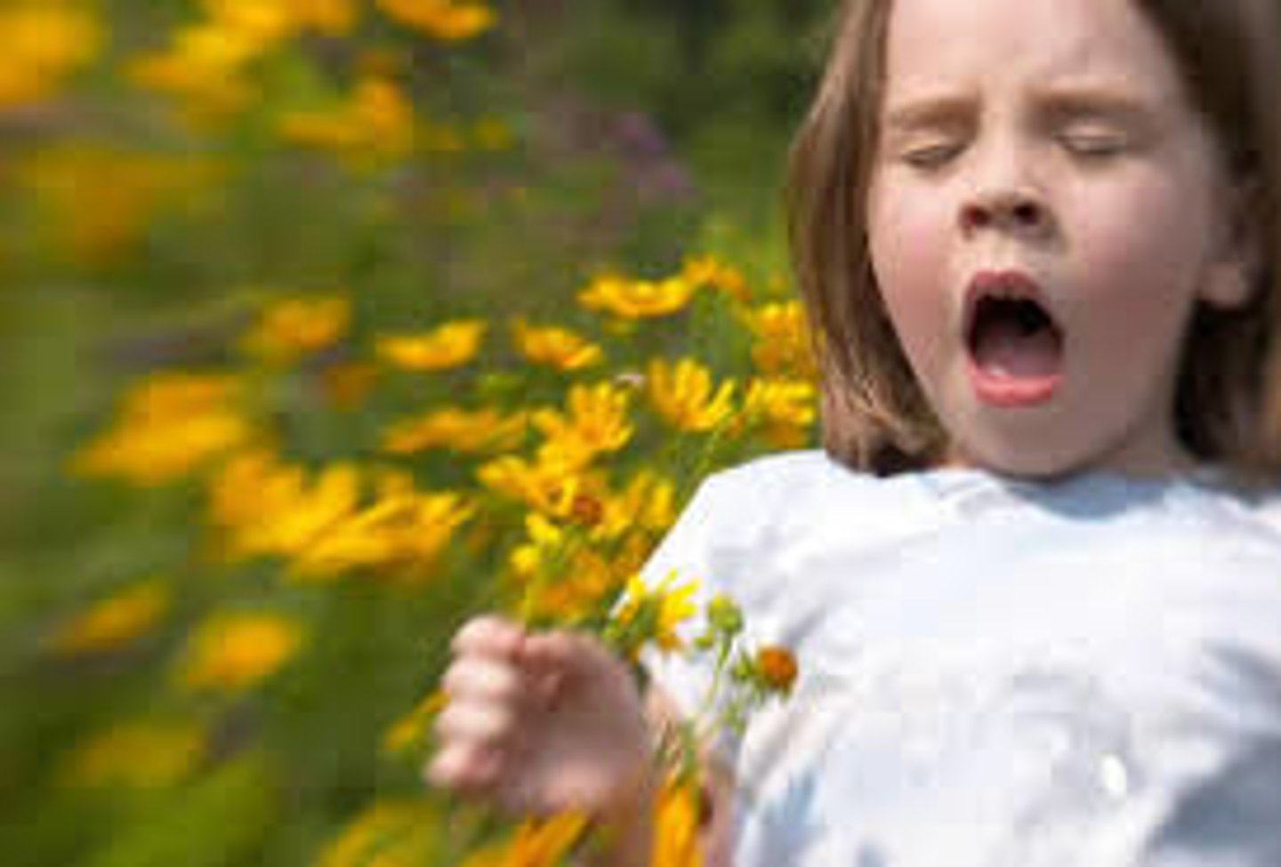 <p>allergy</p>