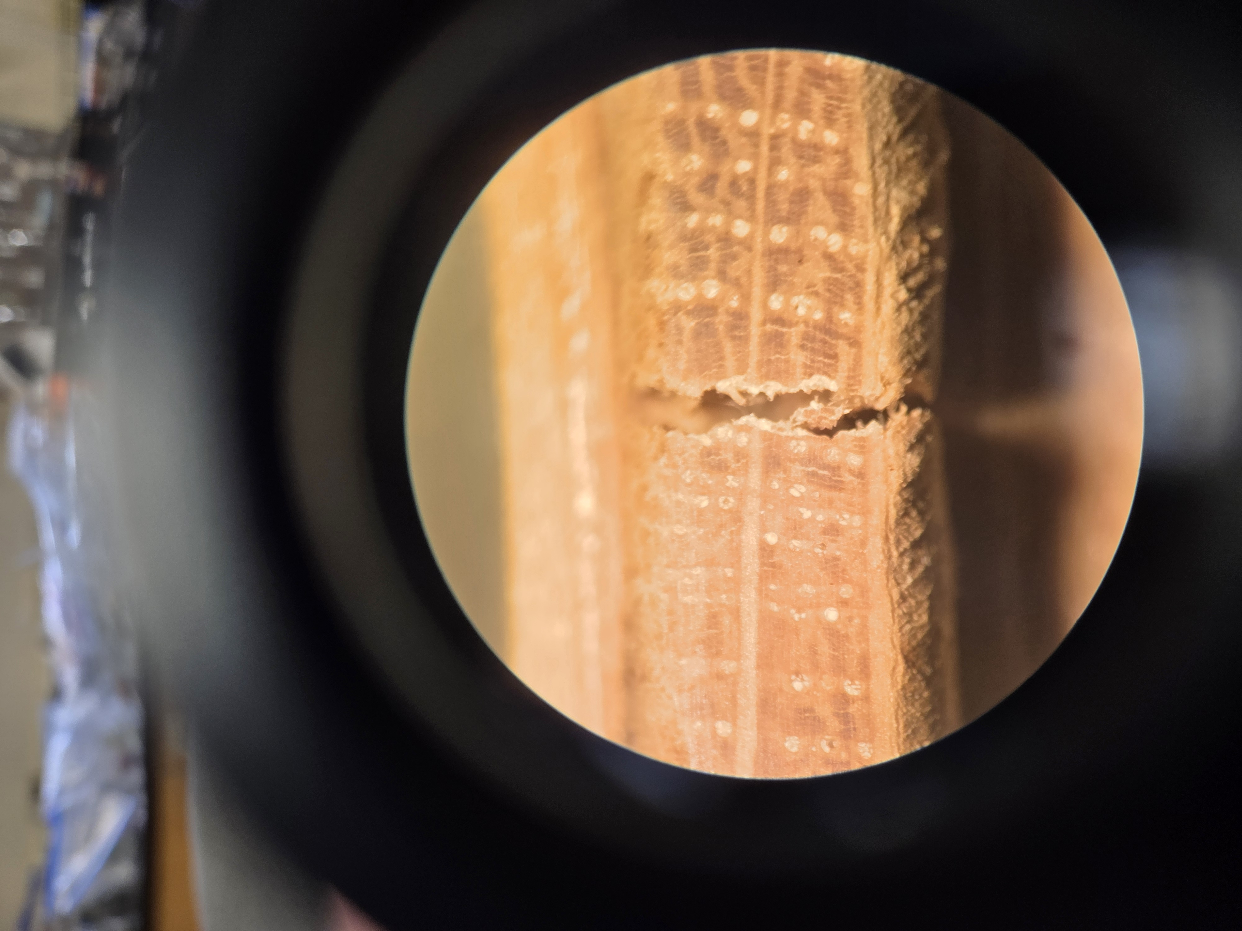 <p>What is this, and what is it showing?</p>