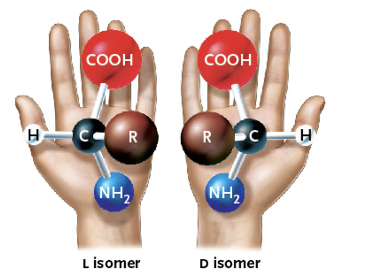 <p>What type of isomer is this?</p>