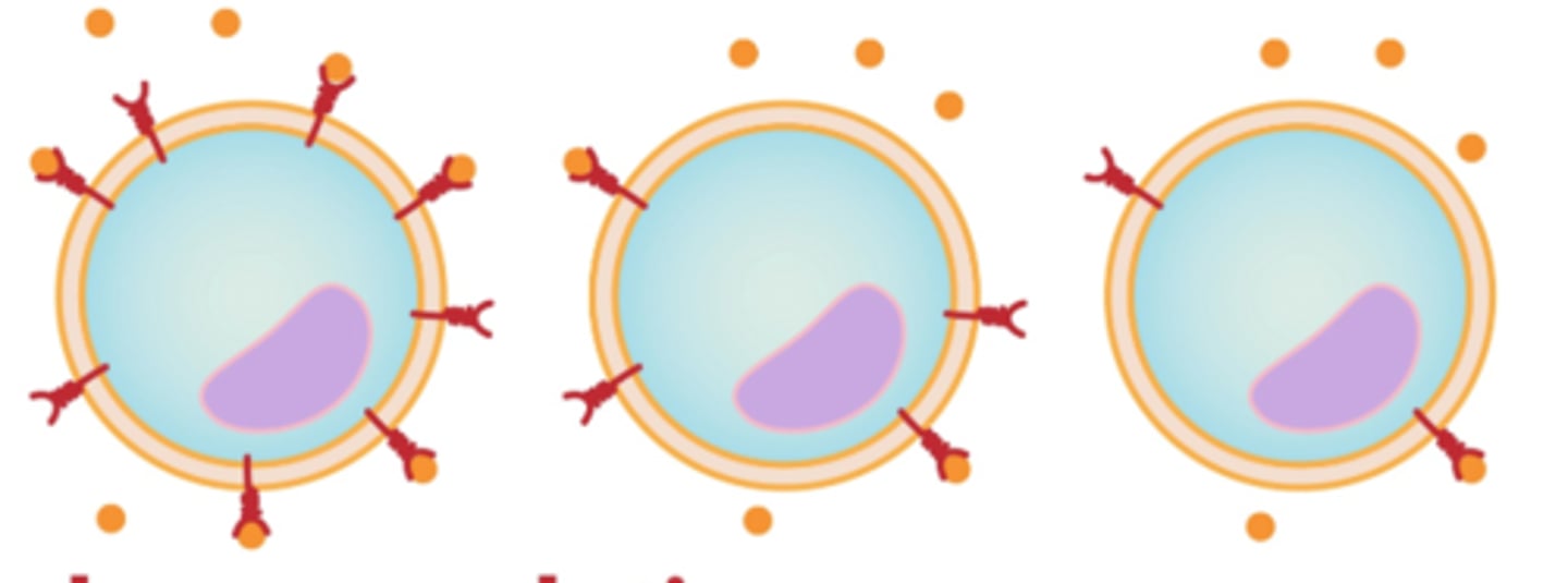 <p>target cells lose receptors in response to a hormone; in response to exessively high levels of a hormone </p>