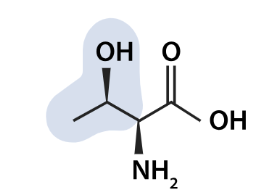 <p>what aa is this</p>