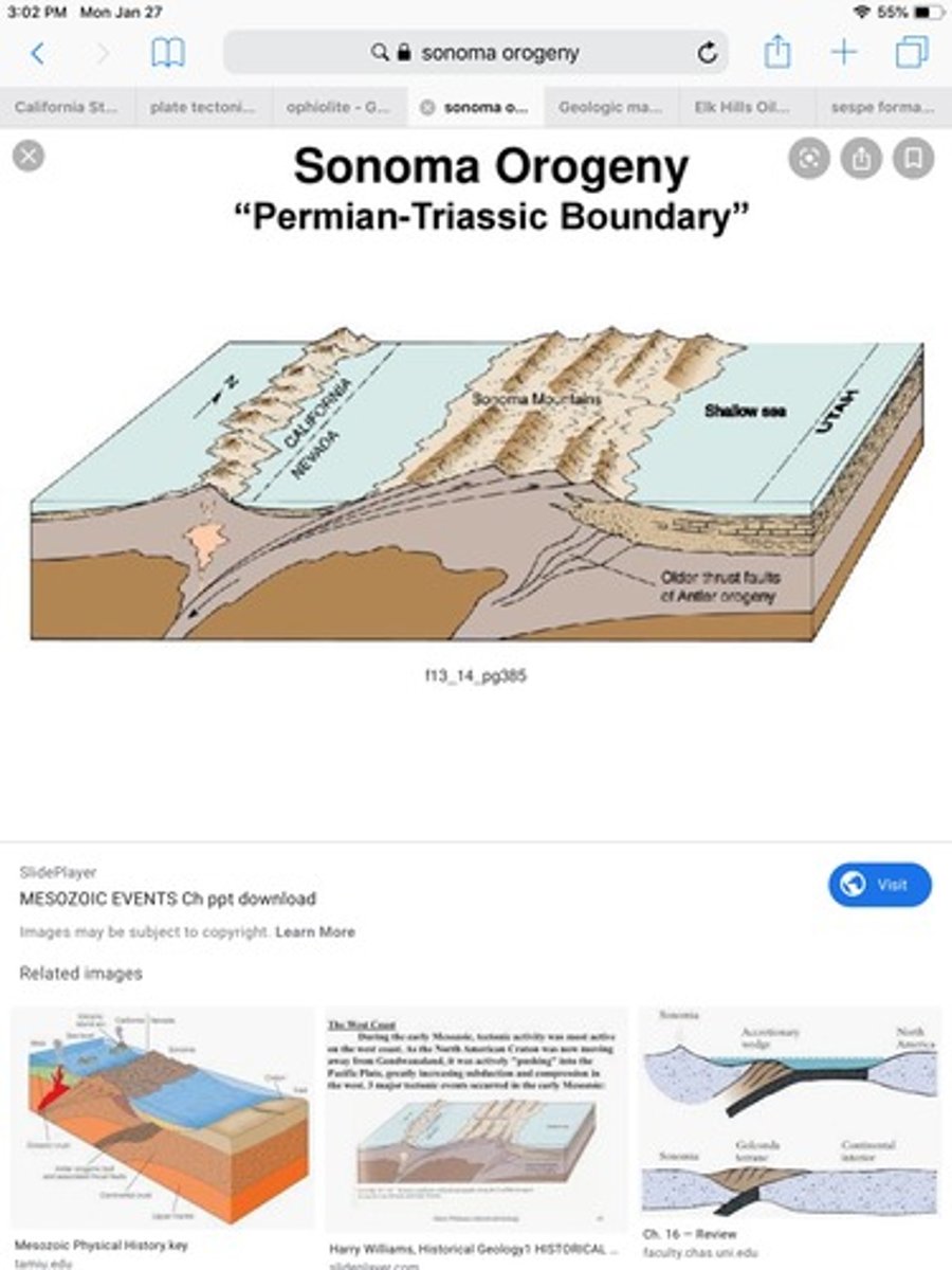 <p>Permian-Triassic orogeny caused by the collision of an island arc with the southwestern margin of North America</p>