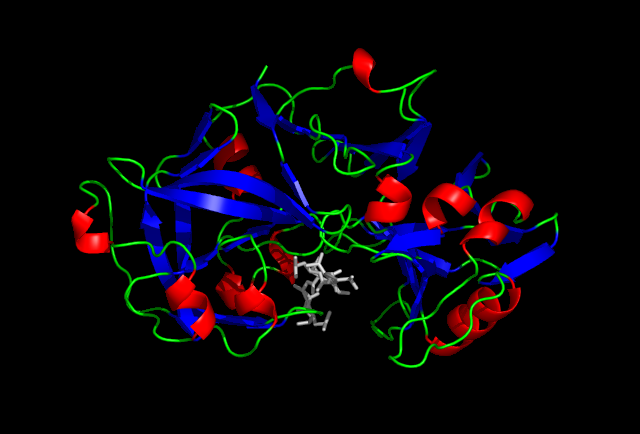 <p>Where pepsin produced? </p>