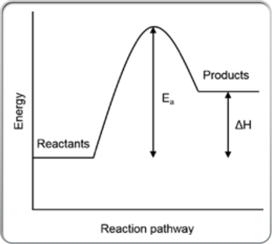 <p>The energy of the products is greater than the reactants ( more energy is needed to be absorbed ) <span style="font-family: &quot;Cambria Math&quot;">∆H+</span></p>