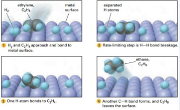 <p>What is this process</p>