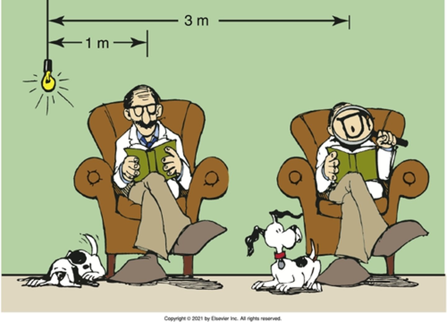 <p>The intensity of electromagnetic radiation is inversely related to what?</p>