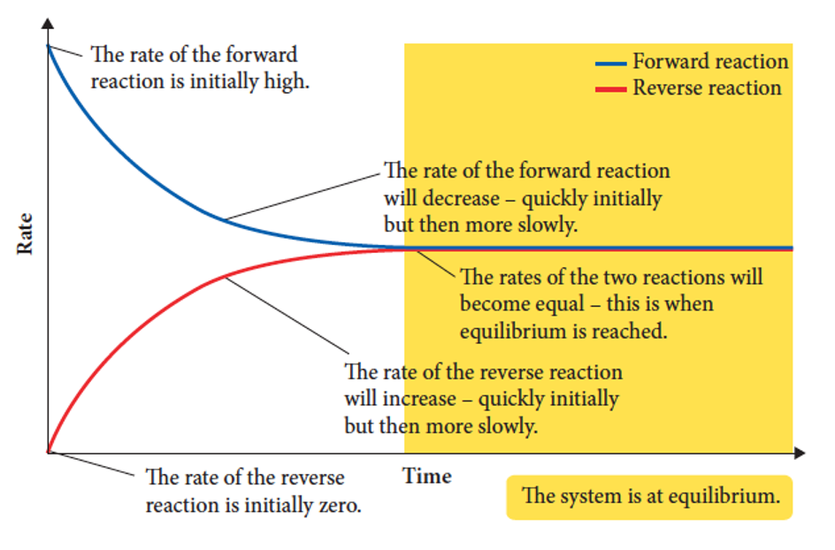 <p>1) The rate of forward reaction is initially high </p><p>2) The rate of reverse reaction is initially zero</p><p>3) rate of the forward reaction will decrease</p><p>4) rate of the reverse reaction will increase</p><p>5) The rates of the two reactions become equal and equilibrium is reached</p>