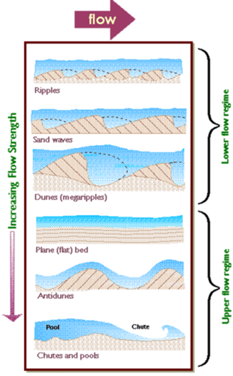 <p>Flows in one direction over time</p>