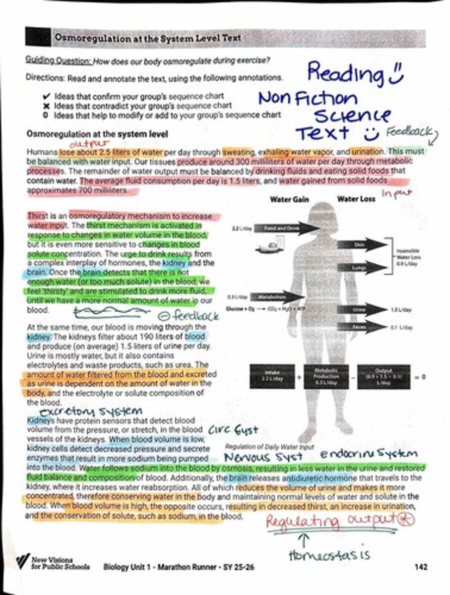 <p>The process by which the body regulates water and electrolyte balance.</p>