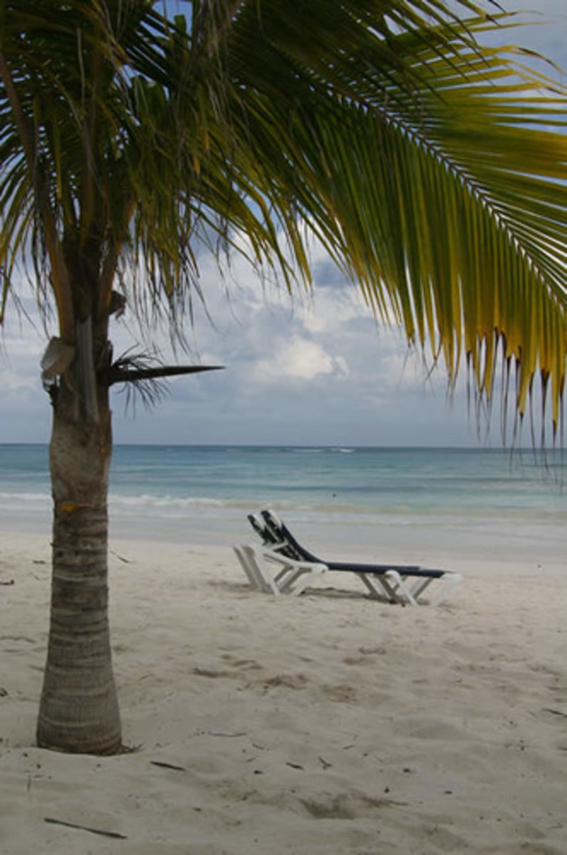 <p>the beach</p>