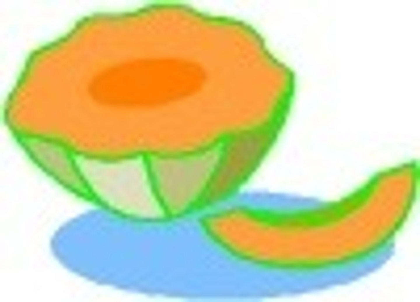 <p>melon</p>