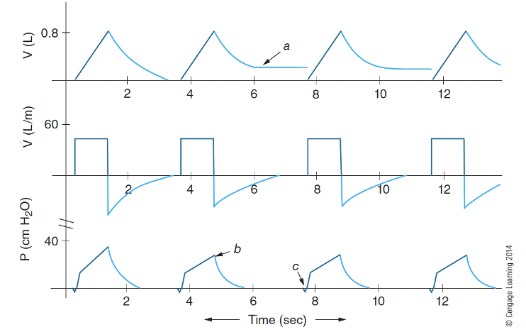<p>What does a circuit leak look like? </p>