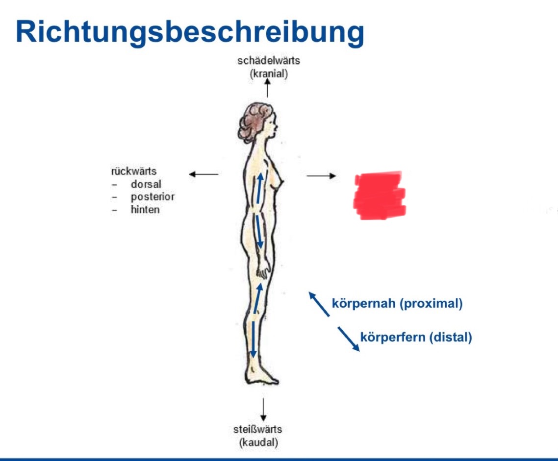 <p>Richtungsbeschreibung</p>