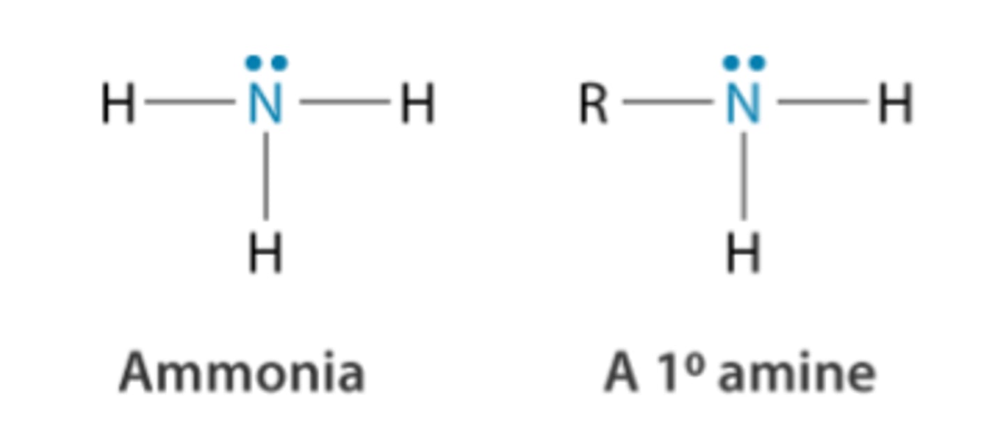 <p>CH₃NH₂ + H₂O → CH₃NH₃⁺ + OH⁻</p><p>- act as bronsted-lowry bases</p><p>- lone pair on nitrogen available for formation of dative covalent bond with an H+ </p><p>- they are also stronger bases than ammonia due to the positive inductive effect of R groups </p>