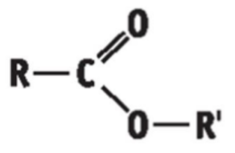 <p>• General Formula: R – COO – R’ / CnH2nO2</p><p style="text-align: start">• End in “anoate”</p><p style="text-align: start">• Functional group is - COOC</p>