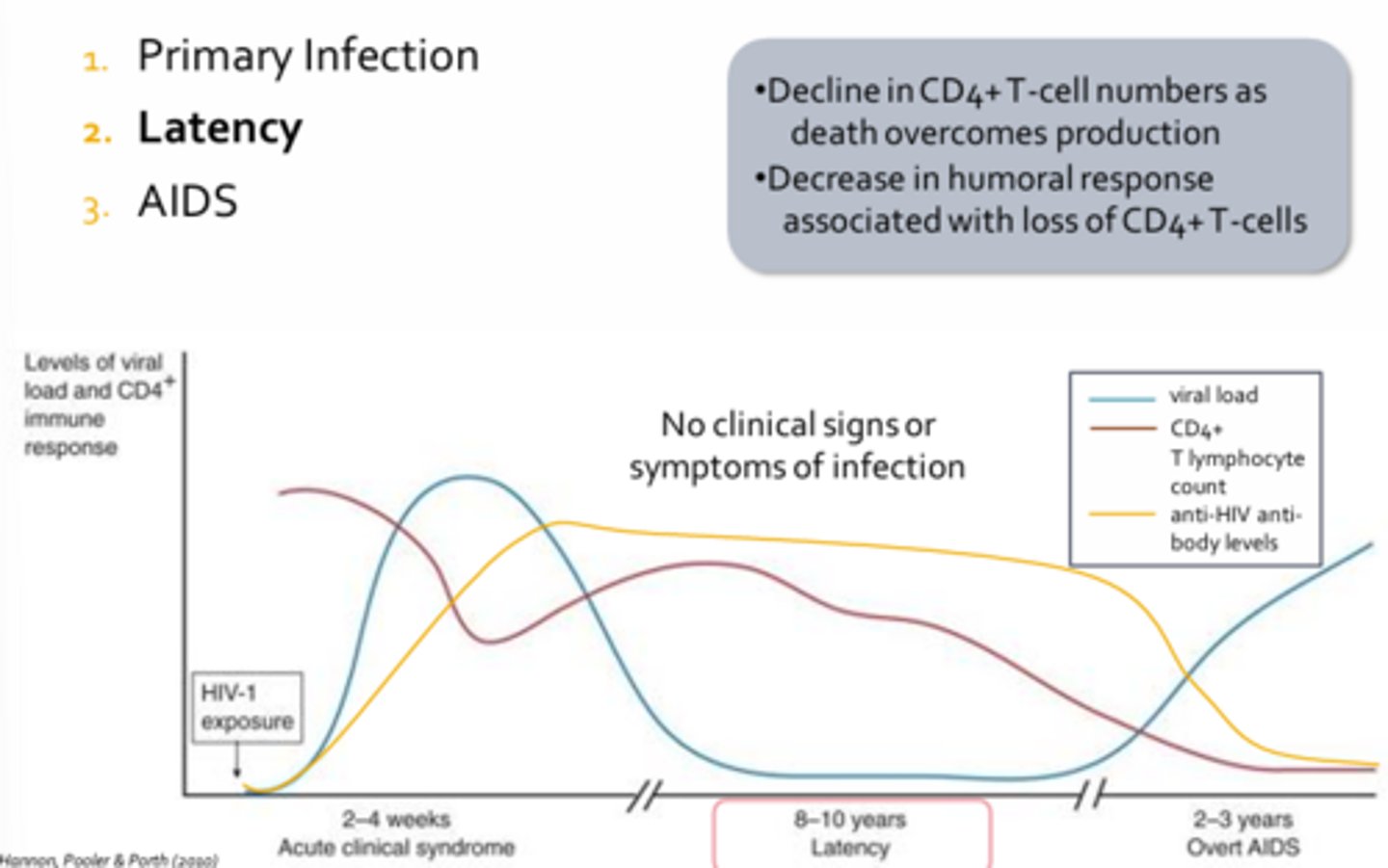 <p>- Last 8-10 years in an untreated individual</p><p>- Decline in CD4+ T-cell numbers as death overcomes production</p><p>- Decrease in humoral response associated with loss of CD4+ T-cells</p><p>- Rate of anti-HIV antibodies production declines</p><p>- Patient doe snot exhibit any clinical manifestations</p>
