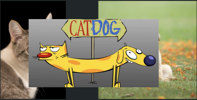 <p>descriptive categories</p><ul><li><p>ex:</p><ul><li><p>cats and dogs</p></li><li><p>vase and jar</p></li></ul></li></ul><p></p>