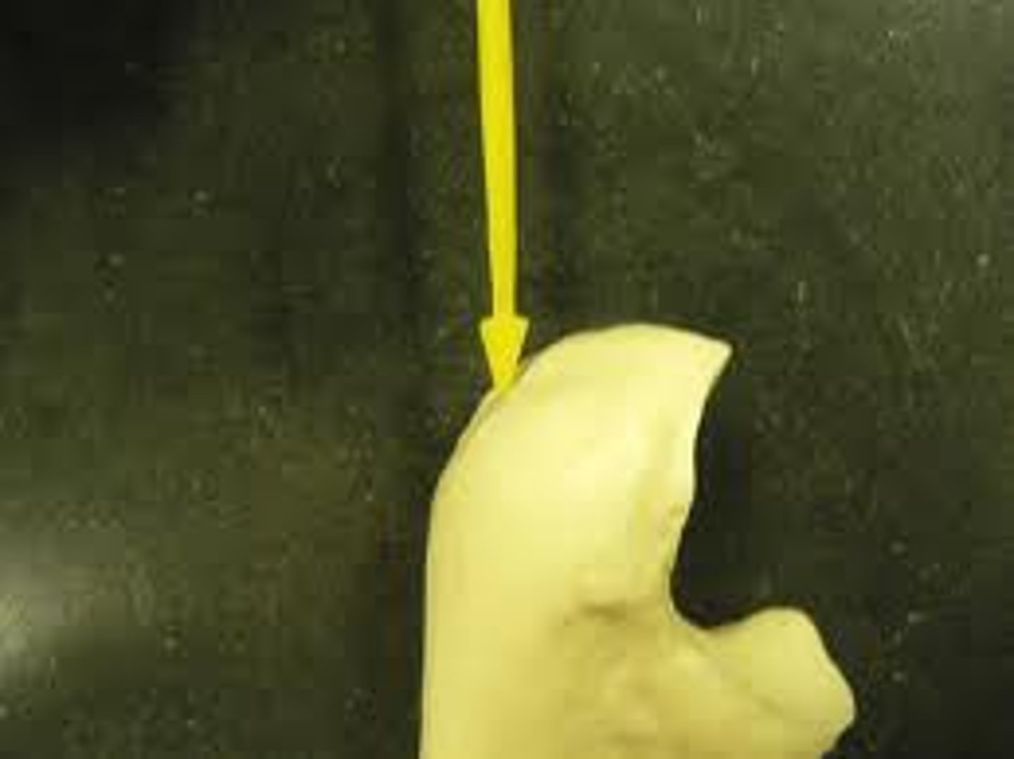 <p>projection at the upper end of the ulna that forms the bony point of the elbow</p>