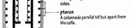 <p>A colonnade parallel to but apart from the cella.</p>