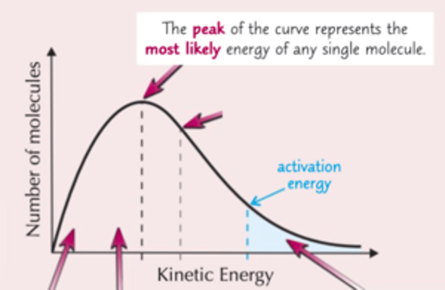 <p>-The most probable energy among molecules</p>