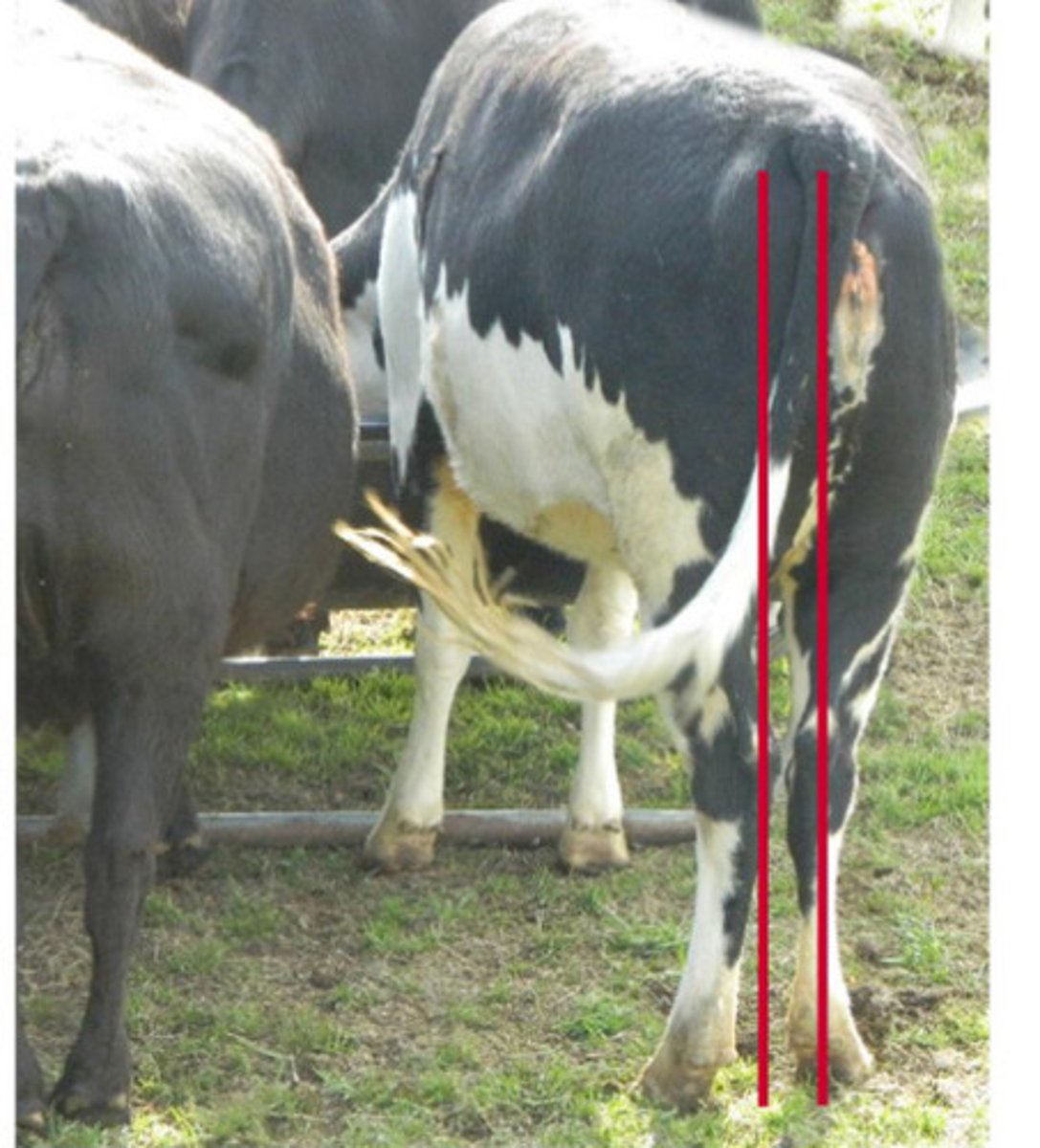 <p>Describe what you are seeing</p>